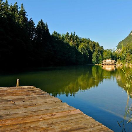 Alpapart Schneider Alpbach Bagian luar foto