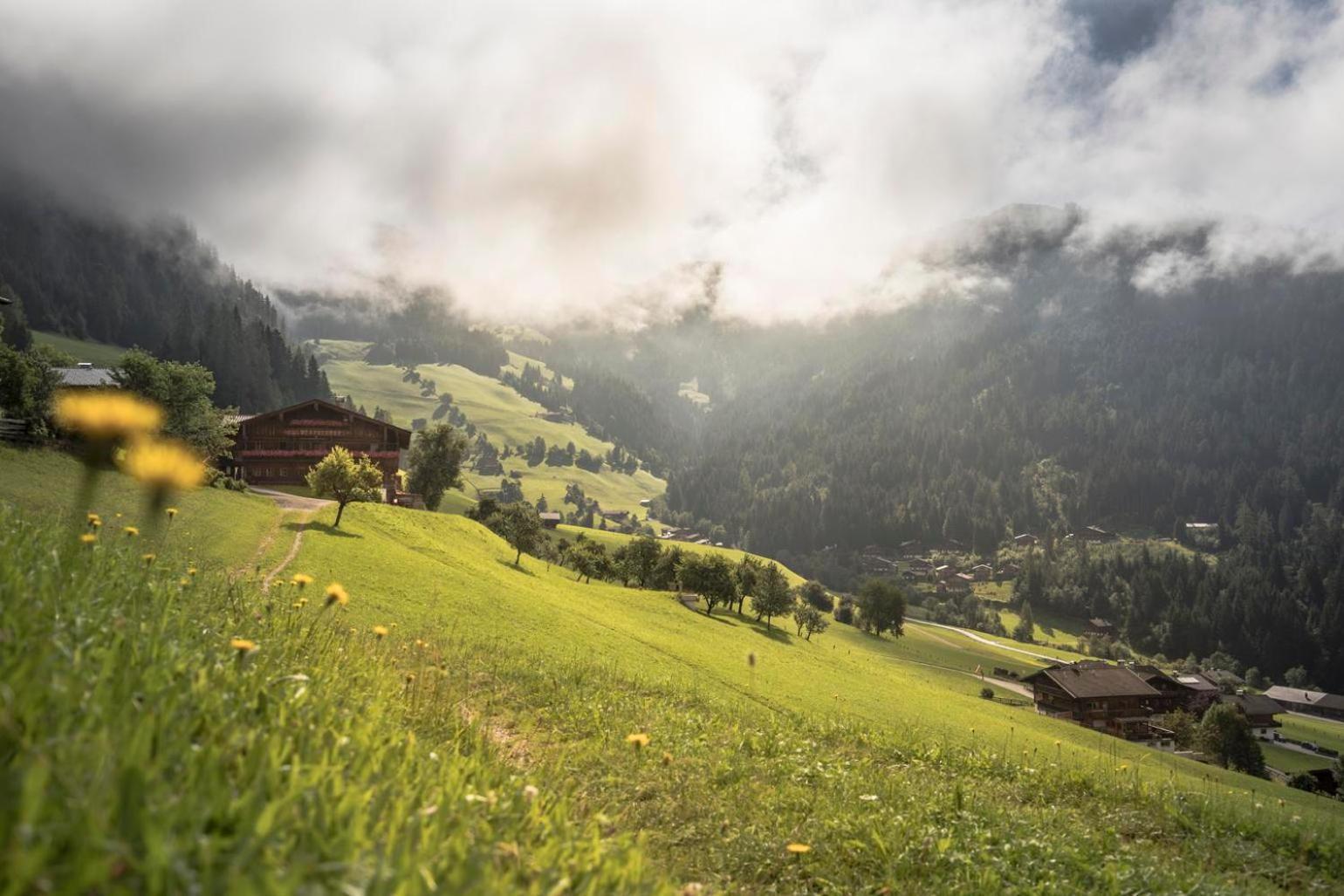 Alpapart Schneider Alpbach Bagian luar foto
